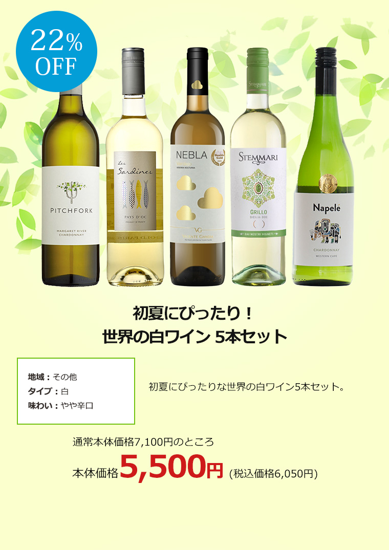 初夏にぴったり！世界の白ワイン 5本セット