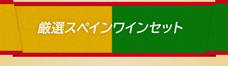 厳選スペインワインセット 