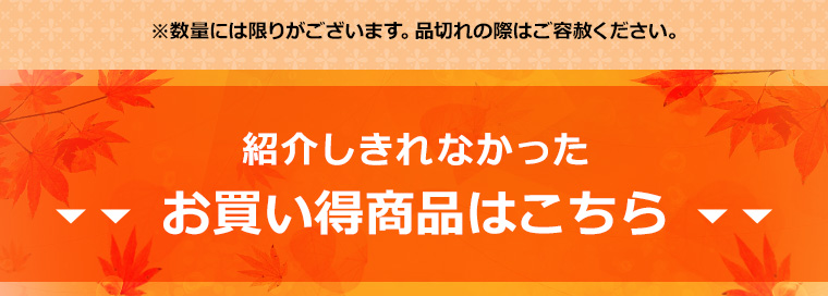 紹介しきれなかったお買い得商品はこちら