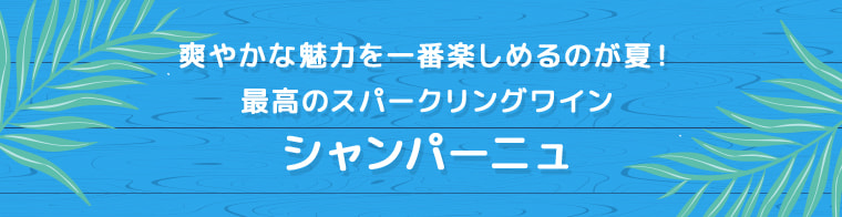 爽やかな魅力を一番楽しめるのが夏！最高のスパークリングワイン「シャンパーニュ」