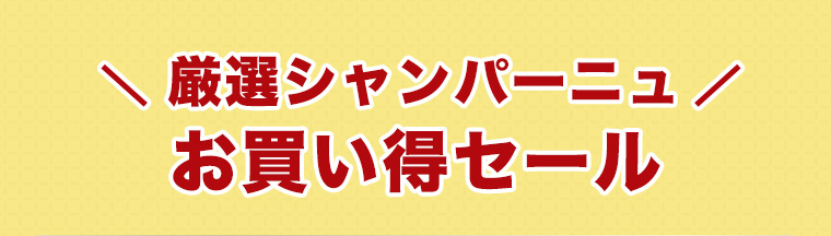 厳選シャンパーニュ お買い得セール
