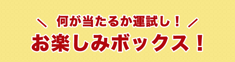 何が当たるか運試し！ お楽しみボックス！