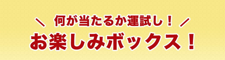 何が当たるか運試し！お楽しみボックス！