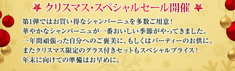 クリスマススペシャルセールを開催