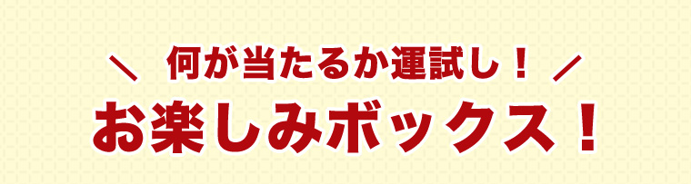 何が当たるか運試し！お楽しみボックス！
