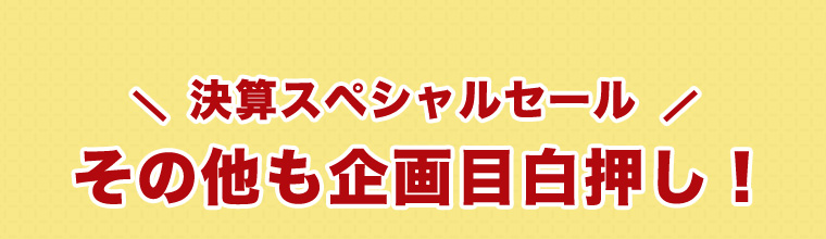 決算スペシャルセール限定！その他の企画目白押し！