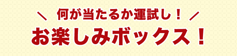 何が当たるか運試し！お楽しみボックス！