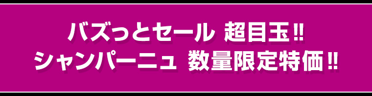 バズっとセール 超目玉‼シャンパーニュ 数量限定特価‼