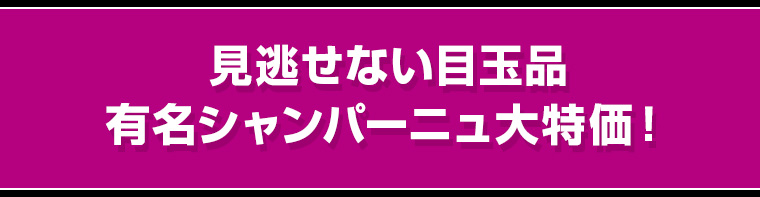 見逃せない目玉品 有名シャンパーニュ大特価！