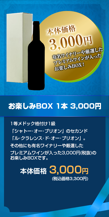 お楽しみBOX 1本 3,000円