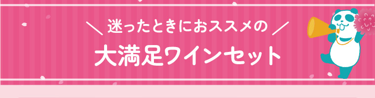 迷ったときにおススメの 大満足ワインセット