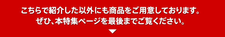 こちらで紹介した以外にも商品をご用意しております。
ぜひ、本特集ページを最後までご覧ください。