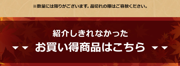 紹介しきれなかったお買い得商品はこちら