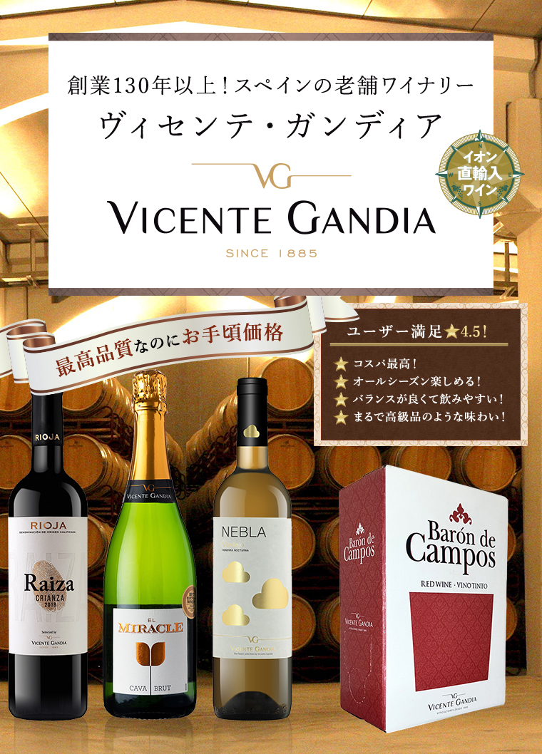 AEON de WINE ヴィセンテ・ガンディア VICENT GANDIA