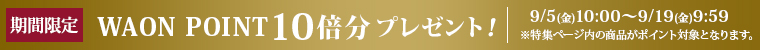 期間限定