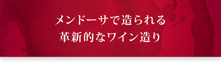 メンドーサで造られる
	革新的なワイン造り