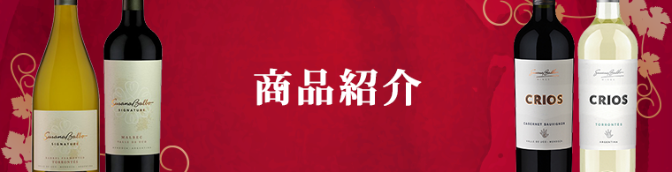 商品紹介