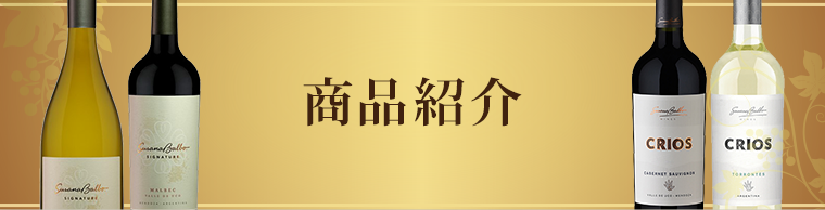 商品紹介