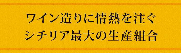 ワイン造りに情熱を注ぐシチリア最大の生産組合