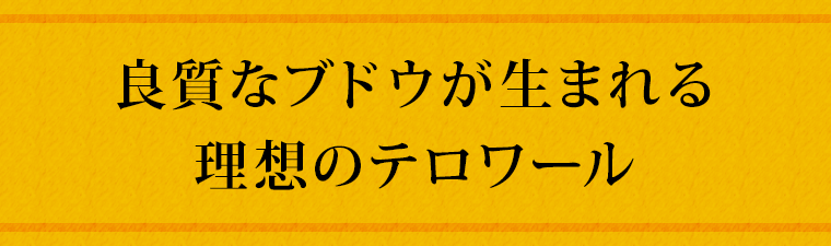 良質なブドウが生まれる理想のテロワール