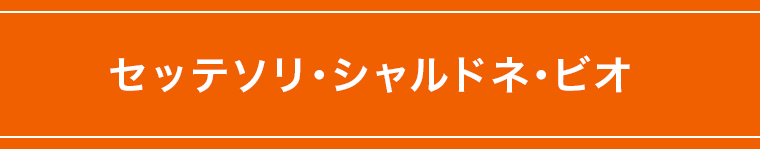 セッテソリ･シャルドネ･ビオ 