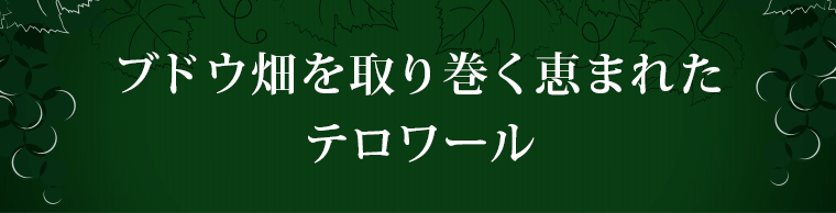 ブドウ畑を取り巻く恵まれたテロワール