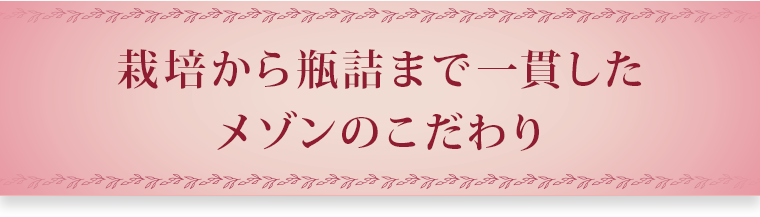 栽培から瓶詰まで一貫した
			メゾンのこだわり