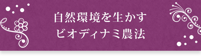 自然環境を生かす
			ビオディナミ農法