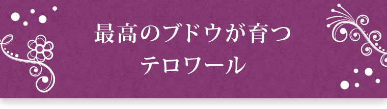 最高のブドウが育つテロワール