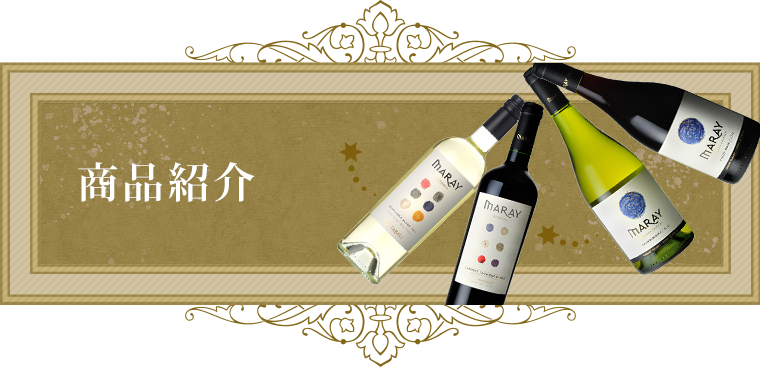 商品紹介