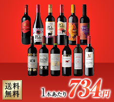 全部で10冠 !フランス 金賞入り! デイリーワイン 赤 12本セット