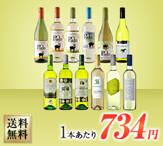 全部で12冠!フランス 金賞入り!  デイリーワイン 白 12本セット 