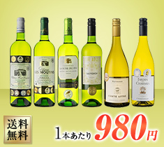 【セット】全部で15冠！全て金賞受賞！フランス 辛口 白 6本セット