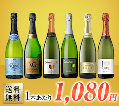 スペイン厳選 カヴァ入スパークリング 辛口 飲み比べ6本セット